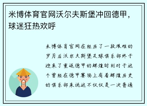米博体育官网沃尔夫斯堡冲回德甲，球迷狂热欢呼